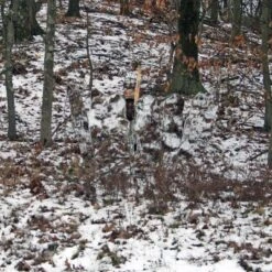 GhostBlind Predator Blind, Pop-Up Mirror Ground Hunting Blind -Camping Equipment Series GUEST 6ca15cef 00f2 4e99 9d16 b36c47e2bb34