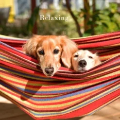 Hastings Home Double Hammock And Stand -Camping Equipment Series GUEST 8af6694e b4b2 4f57 91bc 6d356e022bd9