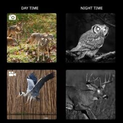 Hike Crew Tactical Gear Night Vision Binoculars W/Digital Camera -Camping Equipment Series GUEST 9468d110 859b 4422 af03 9efaa4241a99