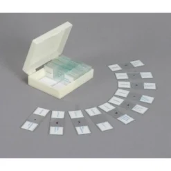 Portable 40X-1000X Monocular Student Microscope With Prepared Slides And Microscope Book - AmScope -Camping Equipment Series GUEST ed947524 fa0f 45ce ba56 f8511973a157