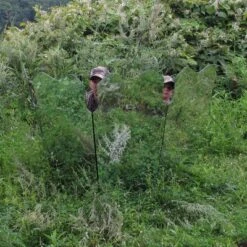 GhostBlind Predator Blind, Pop-Up Mirror Ground Hunting Blind -Camping Equipment Series GUEST ef0066d7 4761 4e5e 916a 7f68ced52922